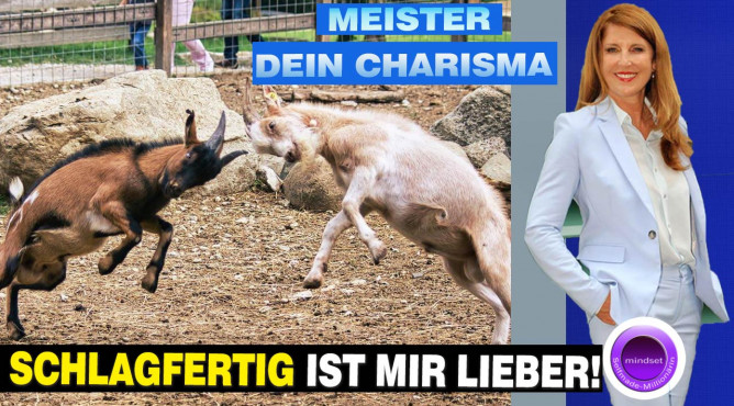 Titelbild zu »Schlagfertig antworten«